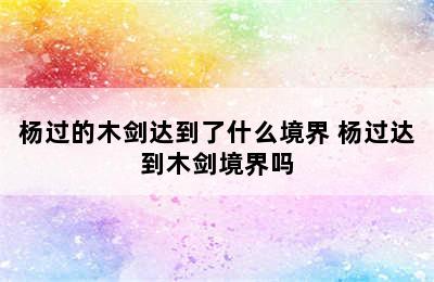 杨过的木剑达到了什么境界 杨过达到木剑境界吗